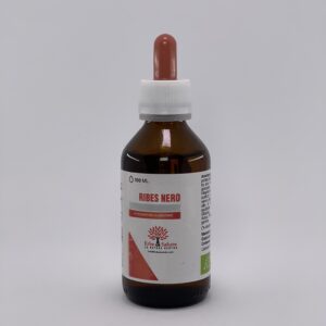 RIBES NERO allergie, difese immunitarie, dolori articolari, pelle