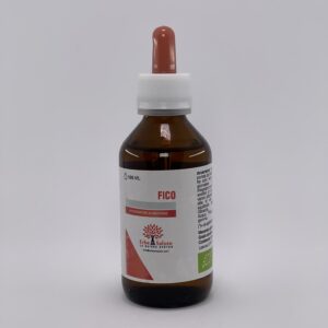 Fico gocce gemmoderivato stomaco sano