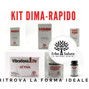KIT DIMA-RAPIDO