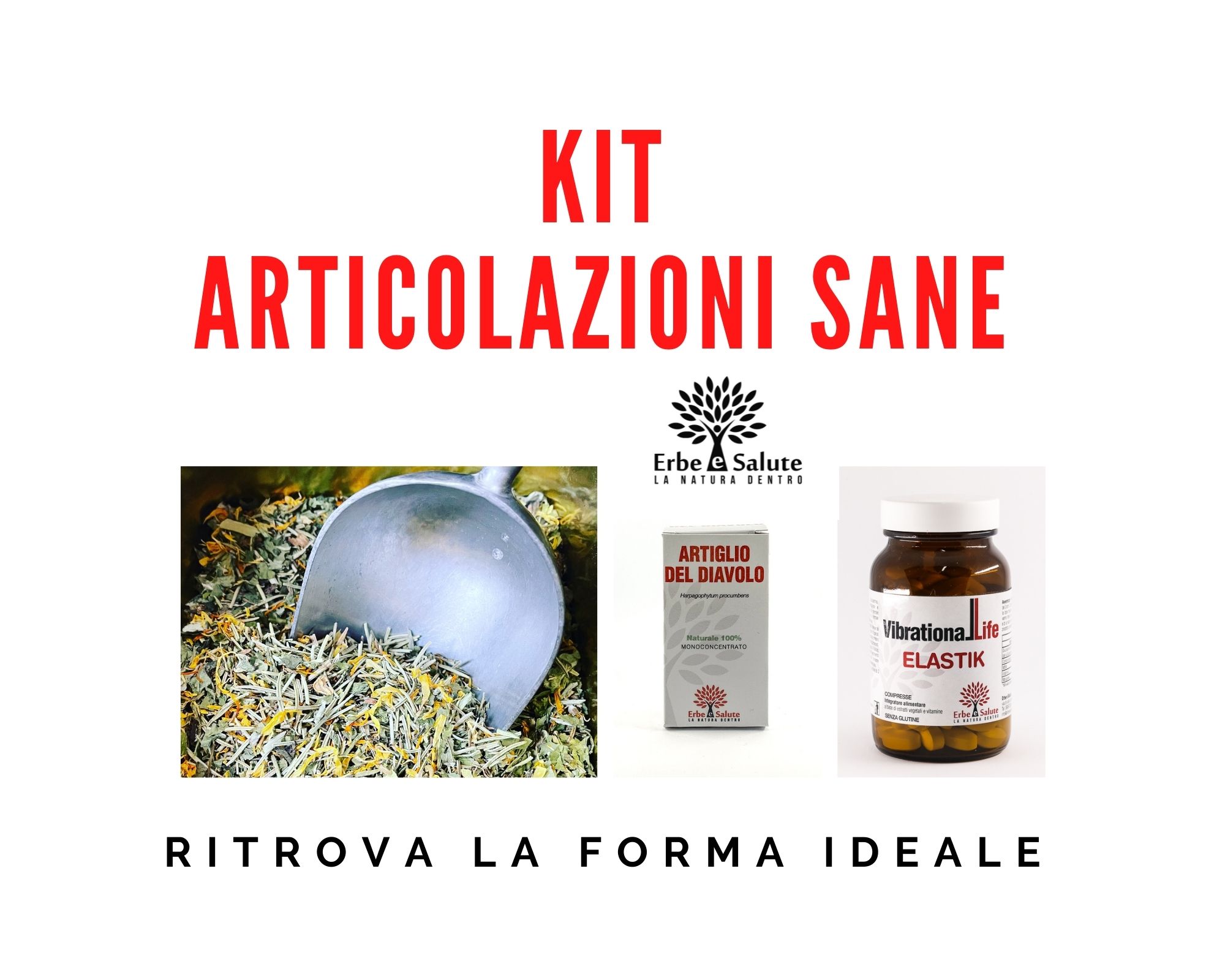 KIT ARTICOLAZIONI SANE